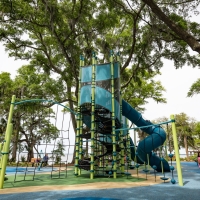 Dolphin18