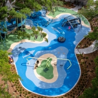 Dolphin1b