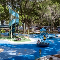 Dolphin2