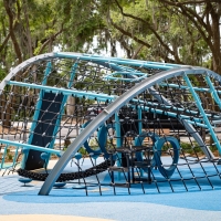 Dolphin8