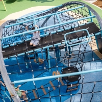Dolphin9
