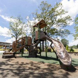 Gracely-Park-1