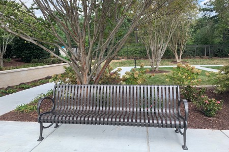 Raleigh LDS Temple