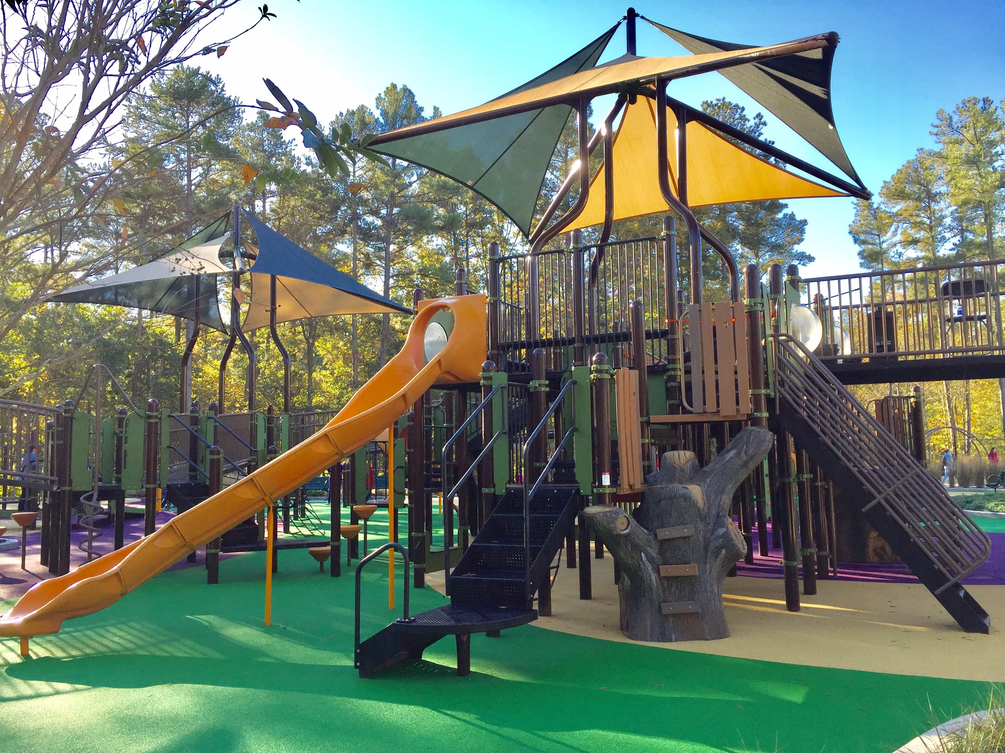 Sassafras All Children's Playground Carolina Parks and Play