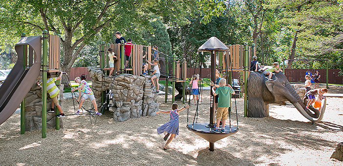 Sassafras playground image